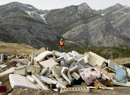 Les errances d’un éboueur sauvage